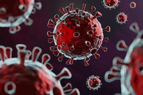 شیوع بیماری ویروسی جدید در شاهرود