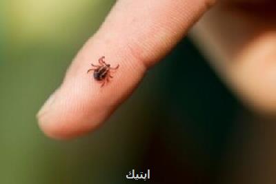 جوان بهبهانی بر اثر تب کریمه کنگو فوت کرد