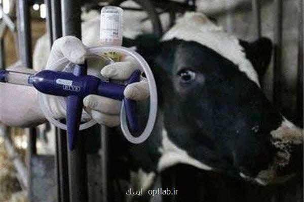 شیوع تب برفکی در اروپای مرکزی