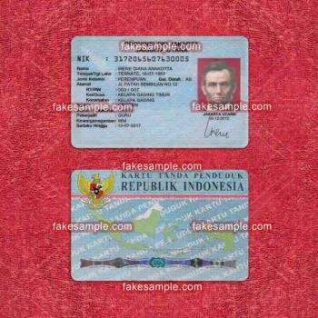 Fake Physical Identity Cards