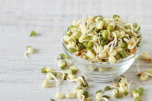 جوانه ماش بمب ویتامین و پروتئین