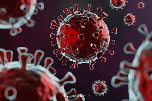 چرا زنان آبستن کمتر به کووید مبتلا می شوند؟