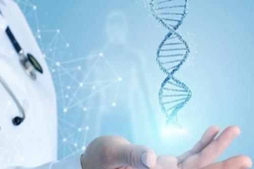 توسعه سلول درمانی برای درمان ناباروری در پژوهشگاه ابن سینا