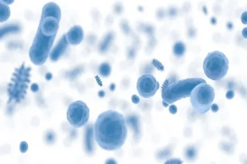 شعار و روزشمار هفته جهانی آگاهی از مقاومت میکروبی سال ۱۴۰۴