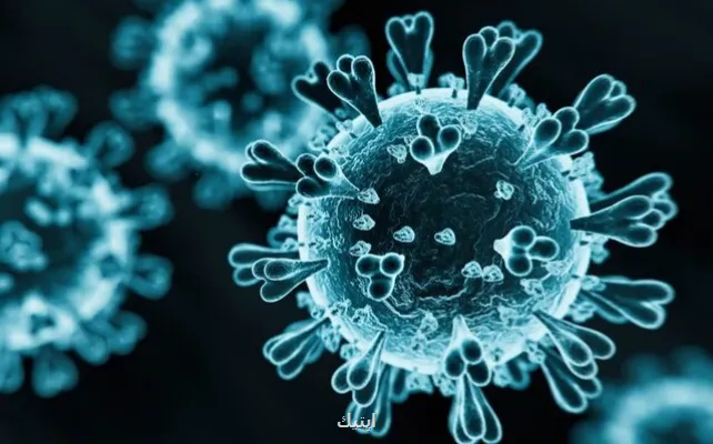 واکنش معاون وزیر بهداشت به اخبار کرونای تیغی