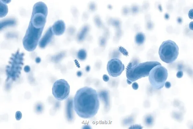 شعار و روزشمار هفته جهانی آگاهی از مقاومت میکروبی سال ۱۴۰۴