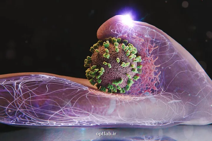 آنفلوانزا در 2 شهر بیشتر از سطح اخطار