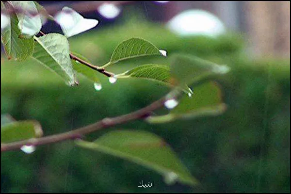 کدام استان ها منتظر باران باشند؟