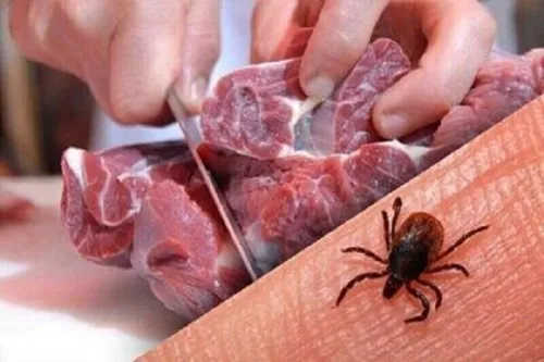 اخطار درباره ی بیماری تب کریمه کنگو در این استان