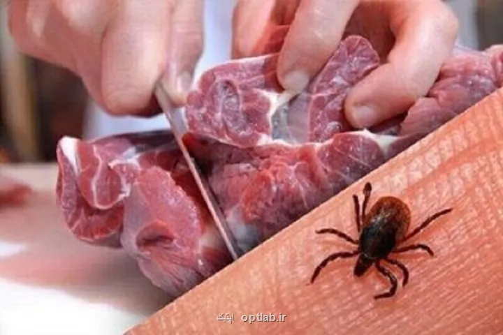 اخطار درباره ی بیماری تب کریمه کنگو در این استان
