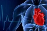 ارتباط سروصدا با افزایش ریسك حمله قلبی