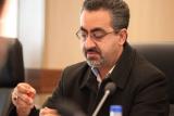 تكذیب شیوع آنفلوانزای خوكی، رصد دقیق آنفلوانزا در كشور