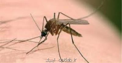استان های ركورددار سالك، علت مبتلاشدن به این بیماری